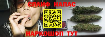 индика Жуковский