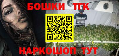 индика Жуковский
