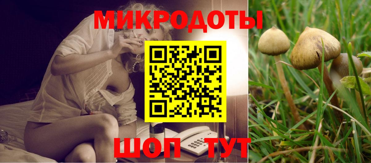 Псилоцибиновые грибы Psilocybine cubensis Кушва
